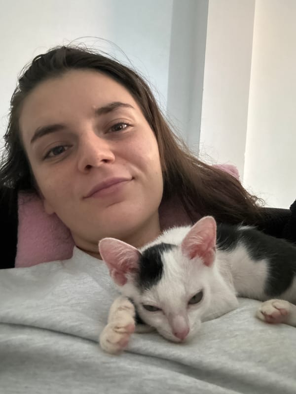 Kitten cuddles and macro details on a Mũi Né morning