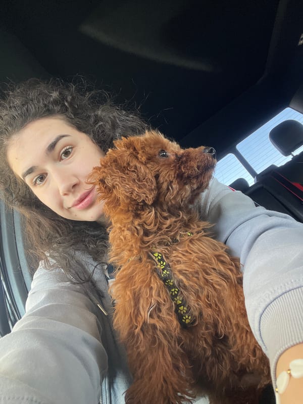 Woman and poodle share moment at Bulgarian cafe