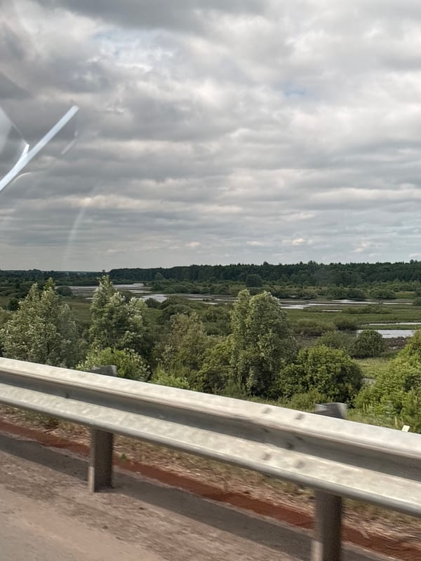 Morning drive through rural Kambarka countryside captured on video