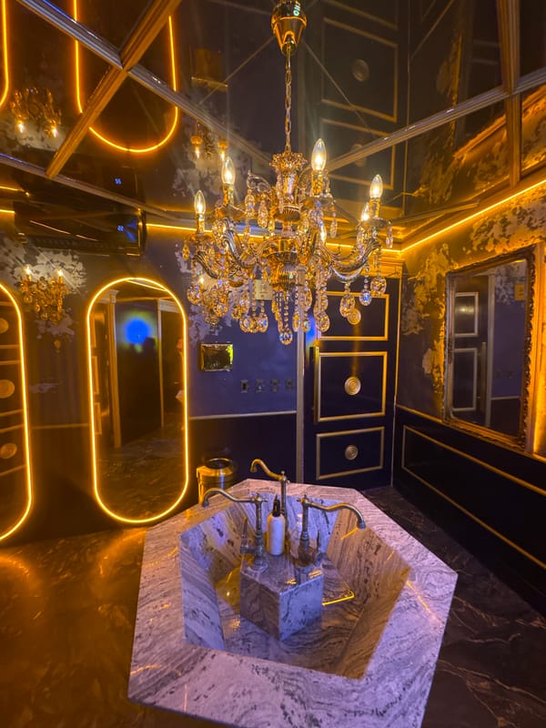 Night out documented at upscale Puebla venues