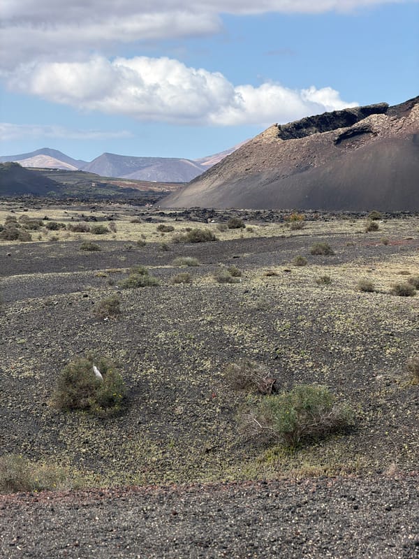 Volcanic landscape documented in Tinajo, Lanzarote