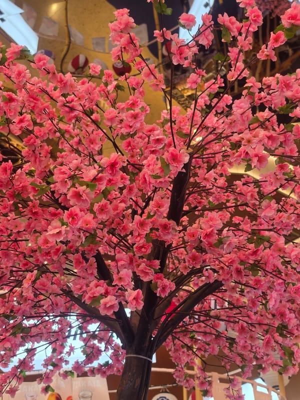 Bangkok witness captures spring blossoms, lanterns, Japanese mall scenes