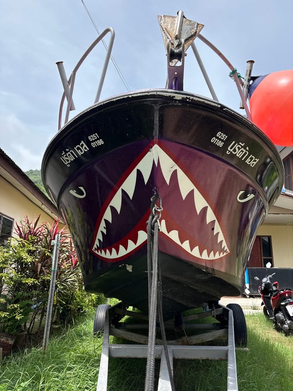 Shark-mouth boat and spiny cactus in a Choeng Thale yard