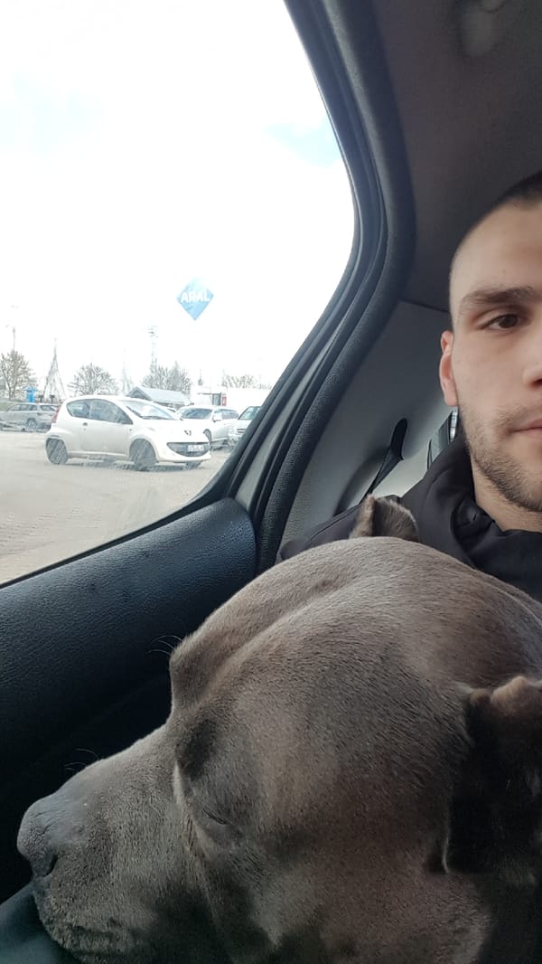 Man sits in car with dog through sunroof in Germany