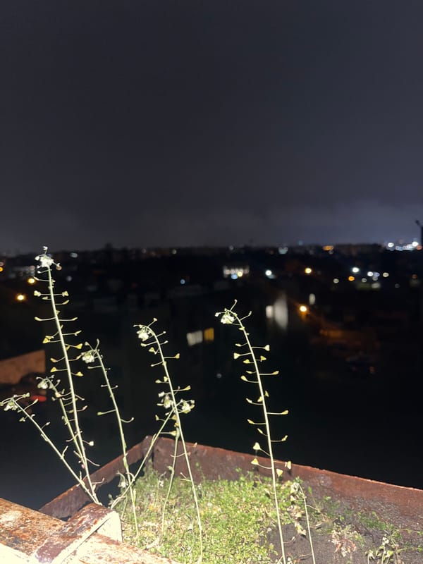 Dense fog blankets Sofia residential areas during night