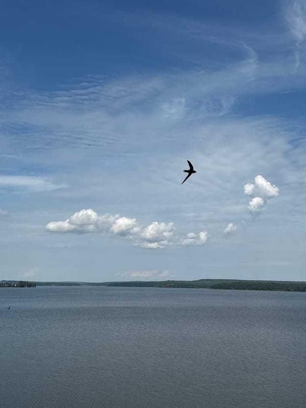 Lakeside morning in Votkinsk, from café interiors to open water