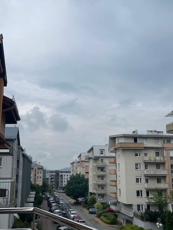 Gray Cat's Morning Activities and Overcast Urban Views Documented