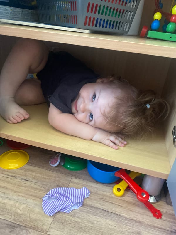Toddler and small dog play together in home cabinet