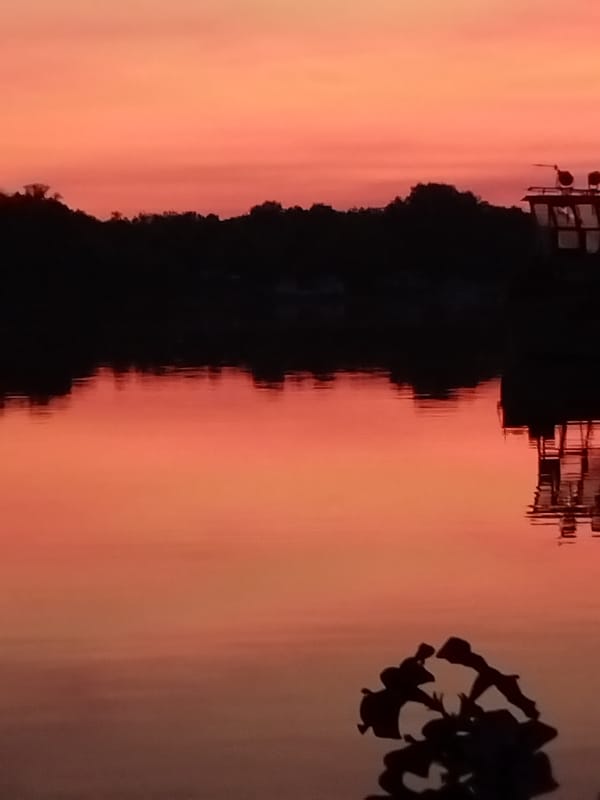 Golden hour on the Kyiv riverfront with a Labrador in tow