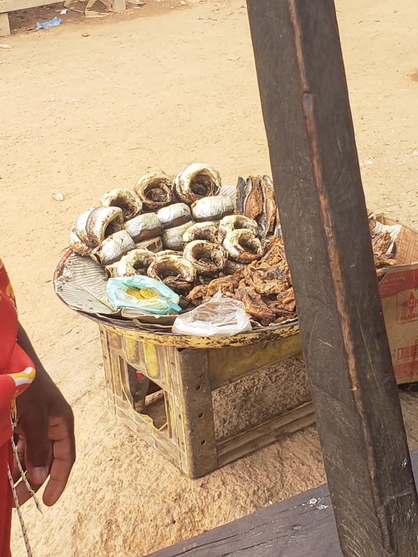 Daily life scenes captured across Gumel, Nigeria markets