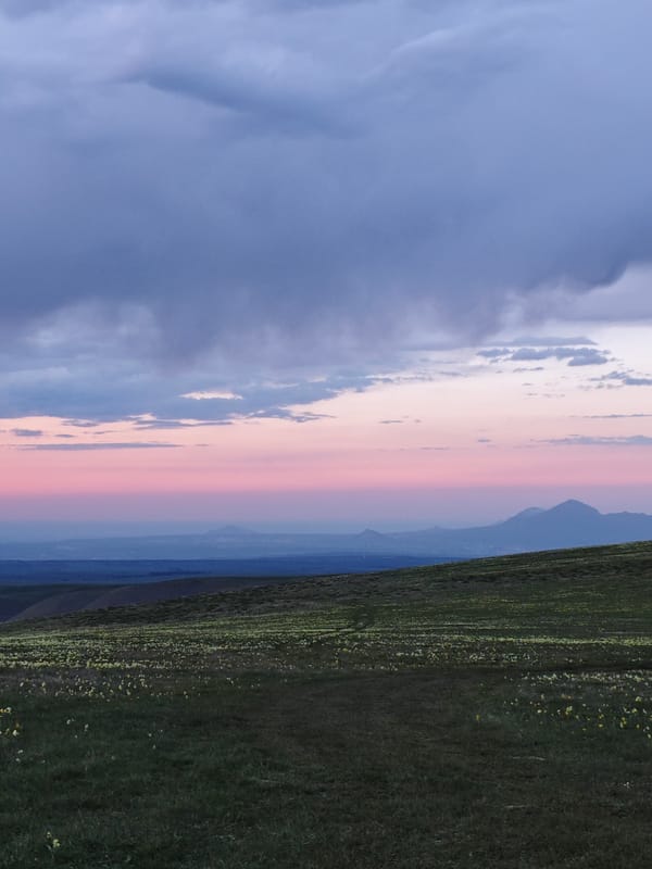 Woman spotted in flower field at sunset near Kichmalka