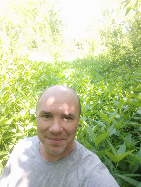 Wandering through lush Almaty greenery, wild cherries in season