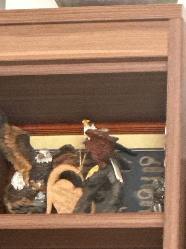 Interior decorations documented in Sofia home including clocks, plants