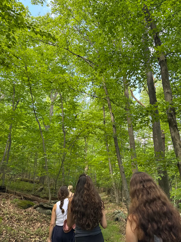 Group of women hike forest trail in Highfield-Cascade
