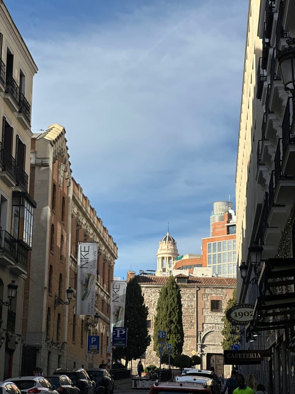 Madrid street scenes with Nike exhibition and bougainvillea canopy