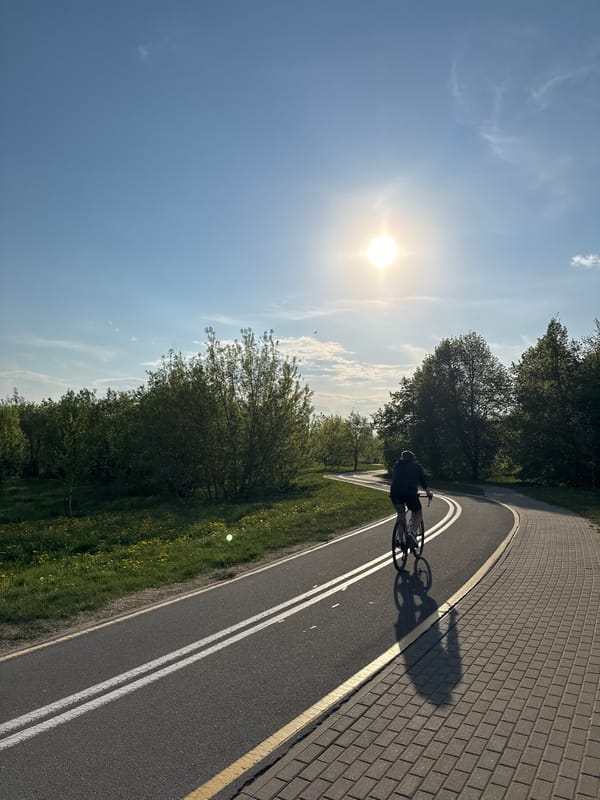 Cyclist uses marked recreational path in sunny Minsk afternoon