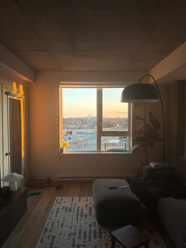 Cat observed at window in Laval evening cityscape