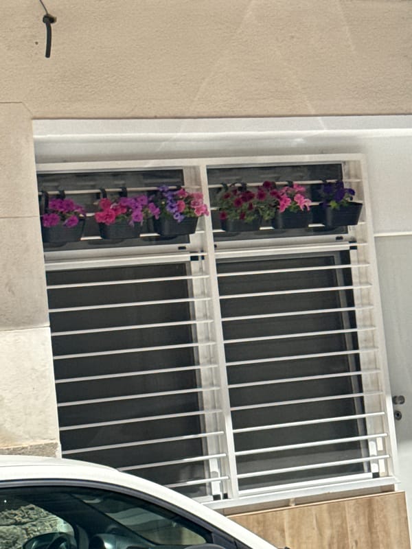 Security grille observed on building exterior