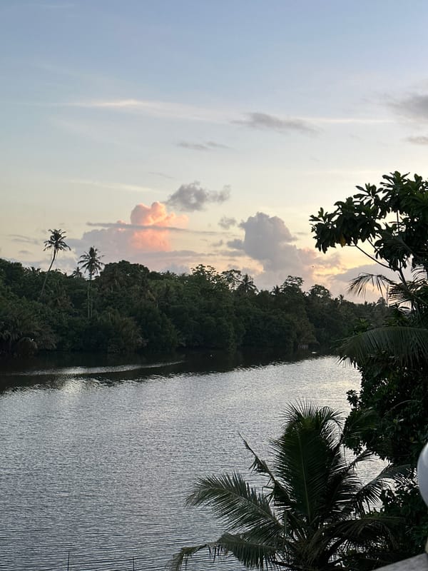 Recreational boating documented on Kadewatta waterway, Sri Lanka