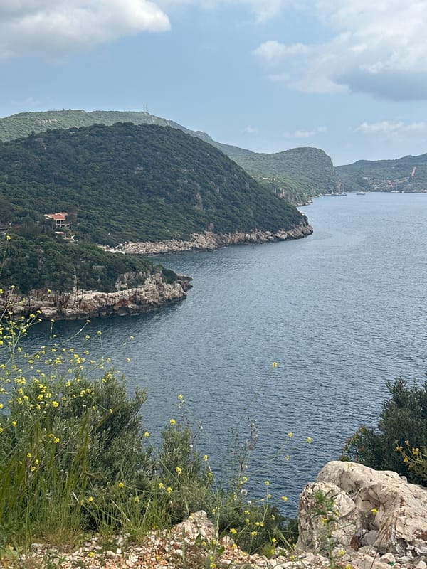 Spring wildflowers bloom along rocky Turkish coastline near Kaş