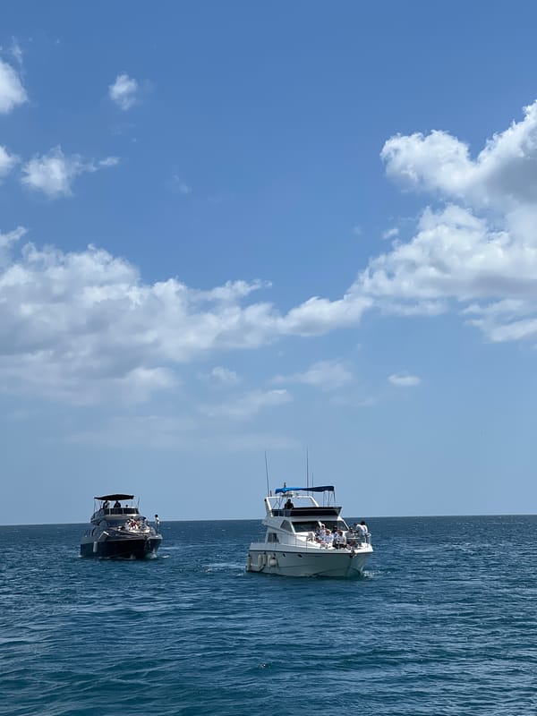 Two passenger boats sail off M'Diq coast Friday morning