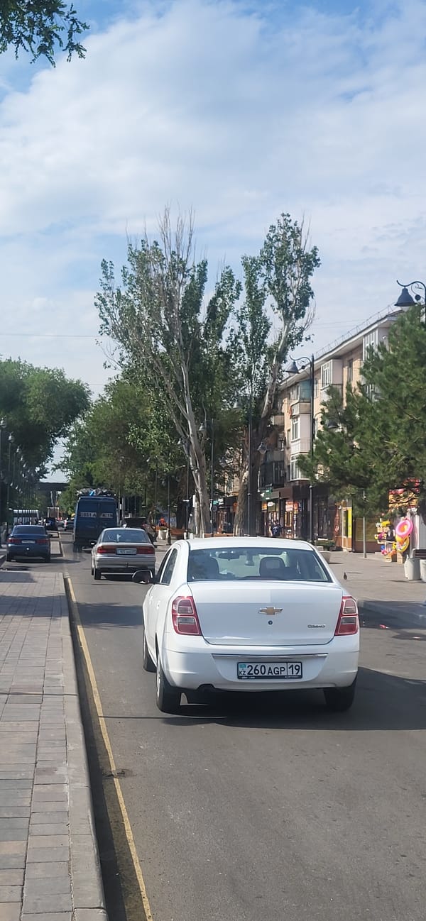 Summer market in Taldykorgan overflows with fresh produce and sweets