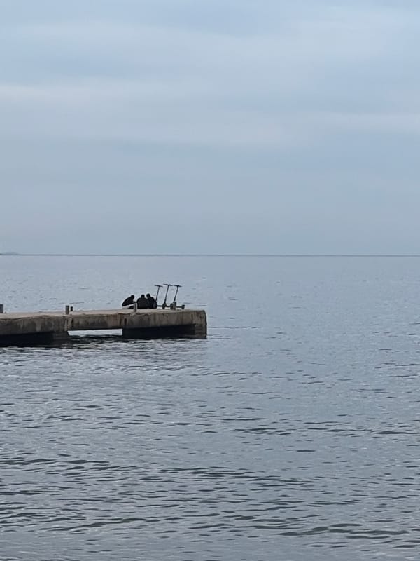 Afternoon waterfront activities documented along Budva Montenegro coast