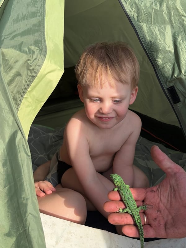 Lakeside camping and wildlife encounters documented in Zabegaevo, Russia