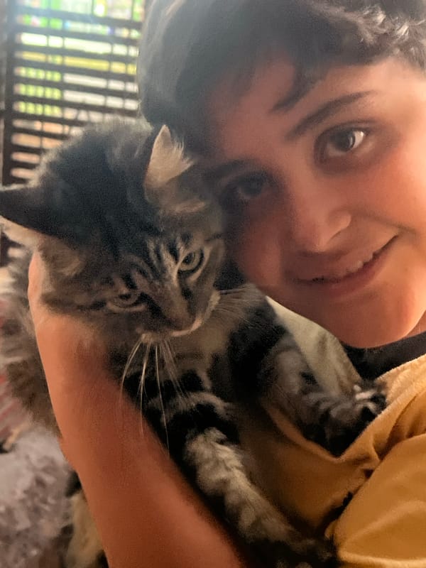 Person photographed with tabby cat in Arica, Chile