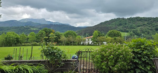 Garden landscape documented in Oiartzun, Spain under cloudy conditions