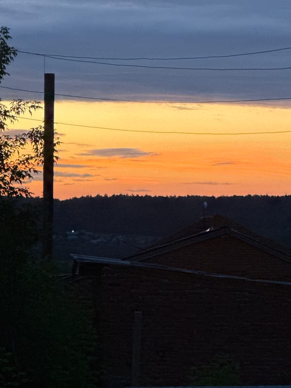 Dusk settles over Malmyzh — towers, flowers, and treelines