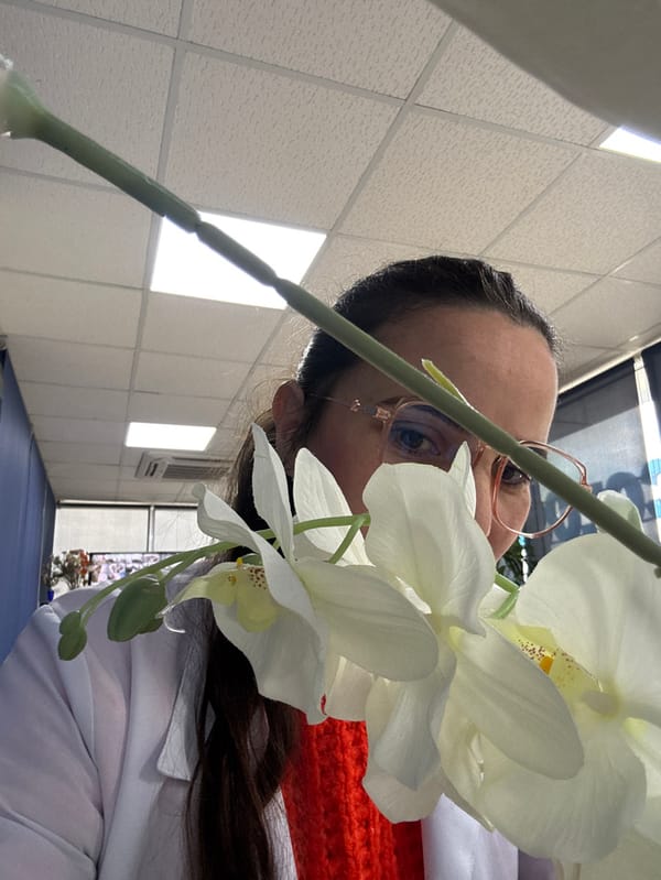 Medical professional's workday documented across healthcare facilities in Meknes