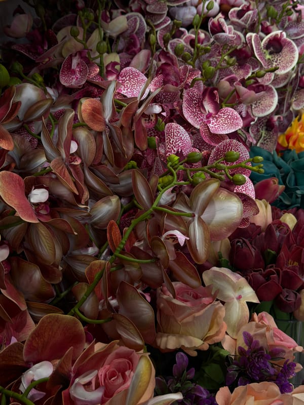 Customers browse flower and accessory shop in Gaza