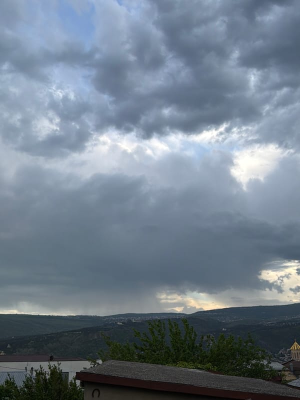 Tbilisi resident documents stormy afternoon, moth, pinecone collection