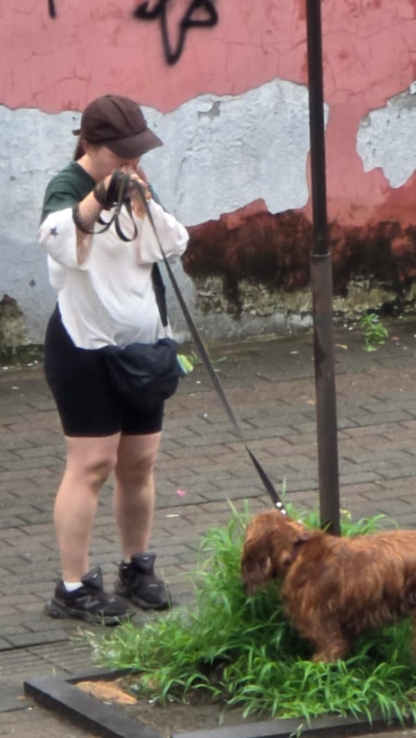 Early morning dog walk on Batumi's cobblestone streets