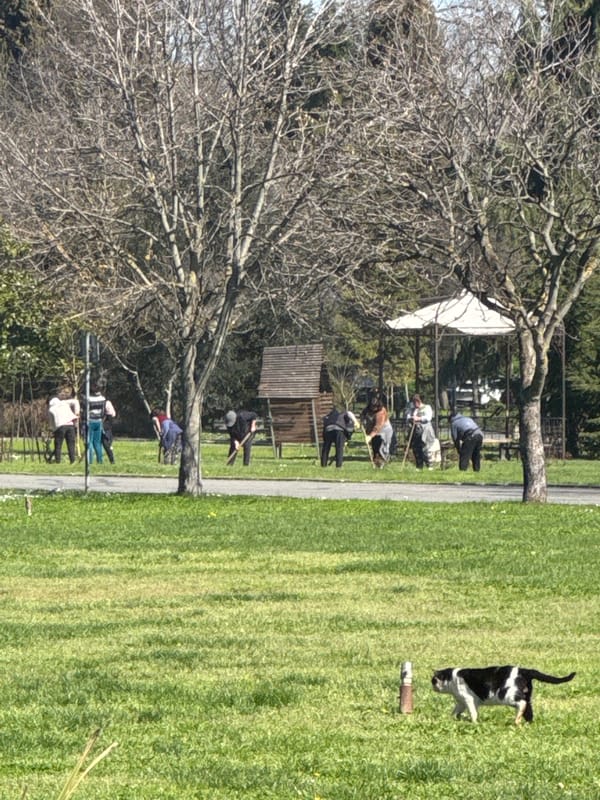 Morning park life documented in Burgas, Bulgaria