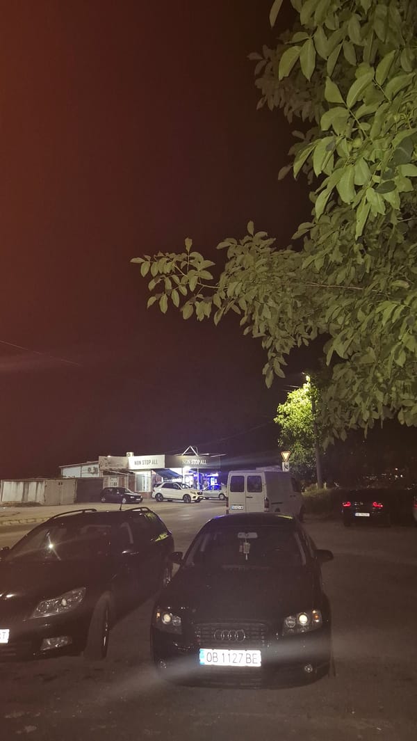 Hedgehog, crescent moon, and nightlife in Lovech