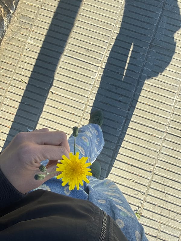 Person holds dandelion on sunny Barcelona sidewalk
