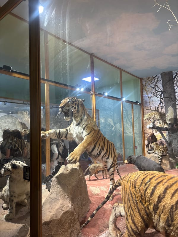 Museum visitor documents wildlife exhibits at Plovdiv Natural History Museum