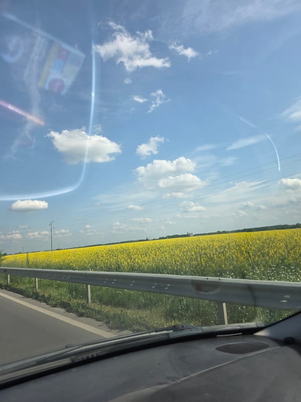 Spring blooms captured along roadside near Mogila, Bulgaria