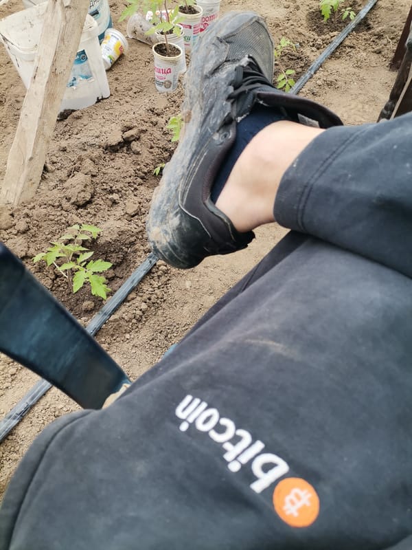 Person spotted wearing Bitcoin-branded clothing in Bulgarian garden