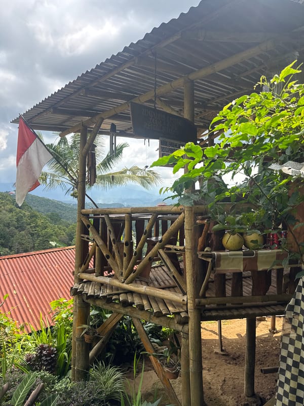Lizards spotted at bamboo cafe in Banjar, Indonesia