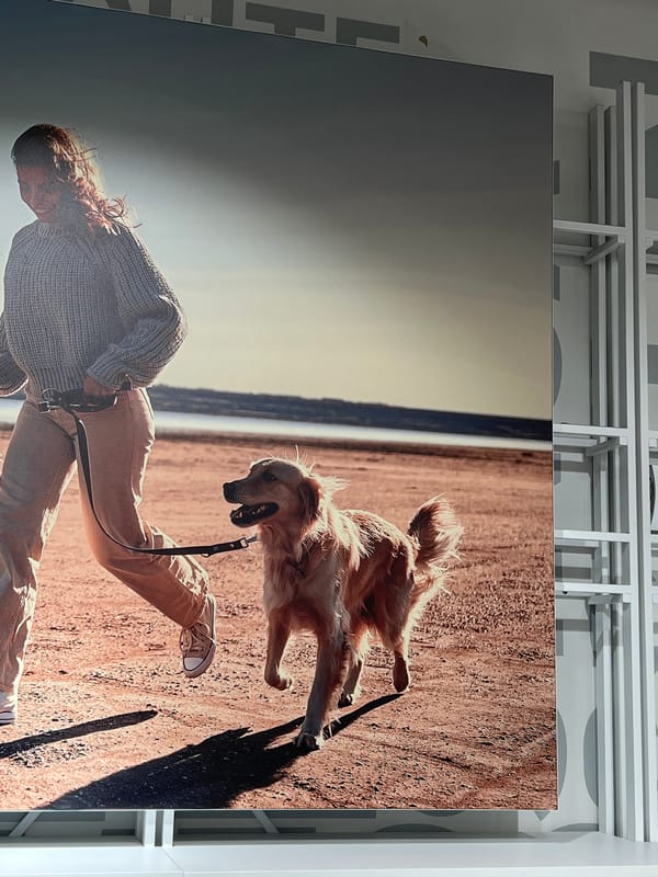 Everyday life moments documented across Izhevsk during midday Thursday