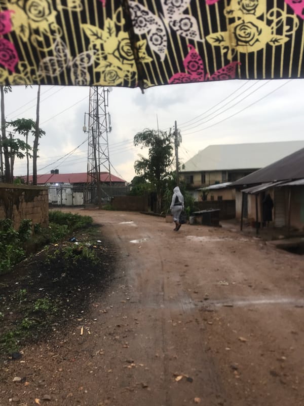 Morning documentation of flora and infrastructure in Rafin Par