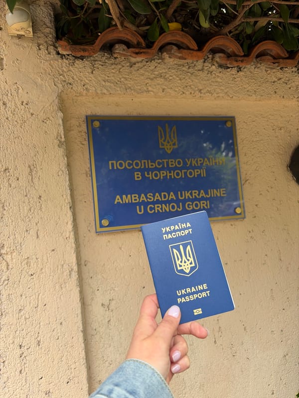 Person with passport visits Ukrainian Embassy in Podgorica