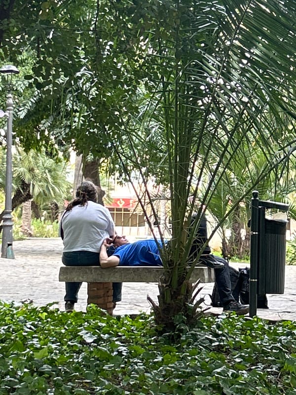 Park visitors read and relax in Málaga