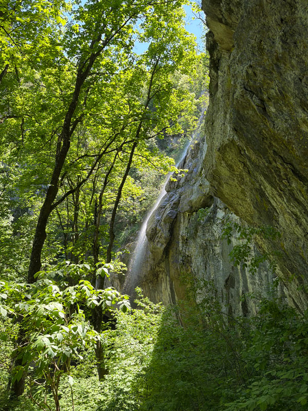 Nature photography captured waterfall and forest path in Veselinovo