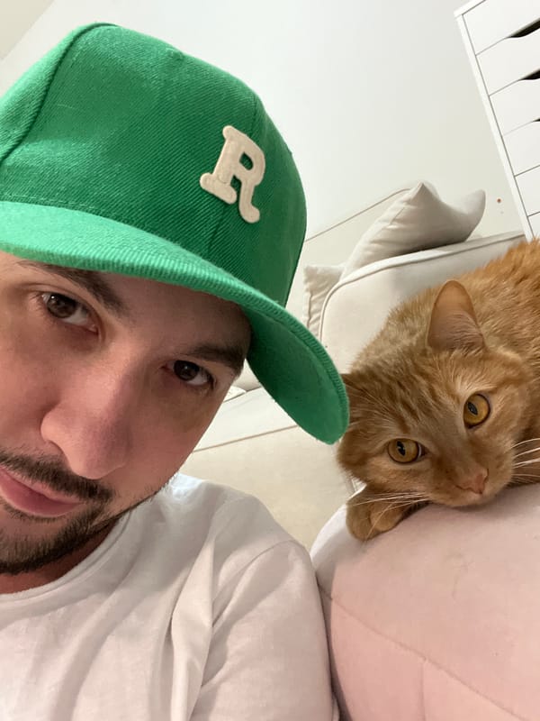 Orange tabby cat photographed multiple times in Perm apartment