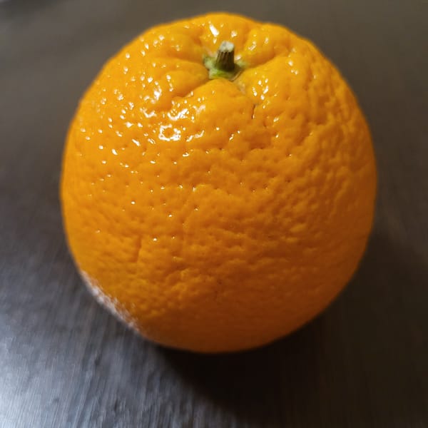 Orange fruit observed on metallic surface in Yerevan