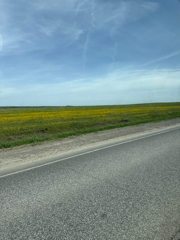 Rural roadside scene documented in Sarapul, Russia